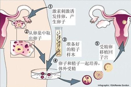 陳明瑜